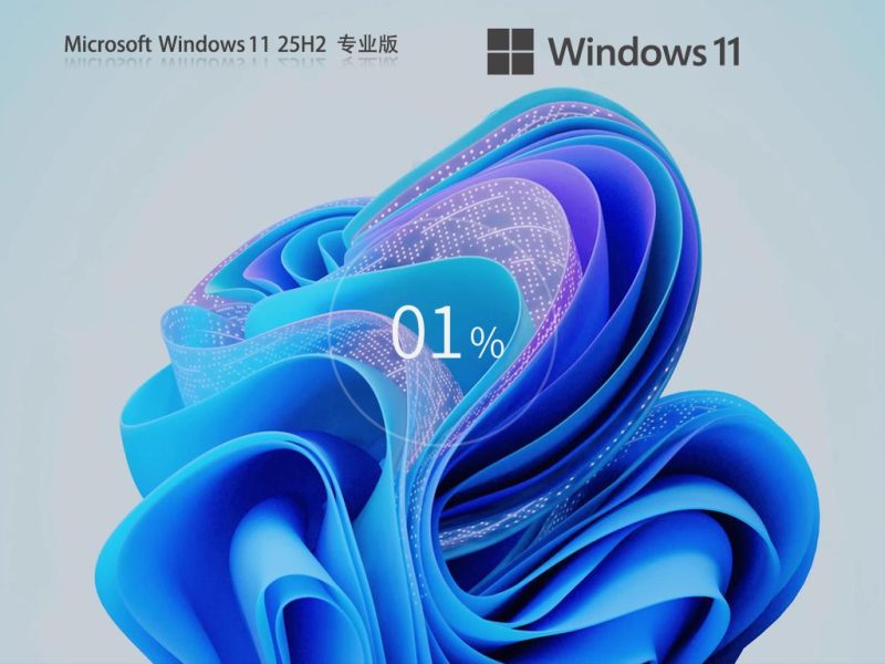 【11.11更新】Windows11 25H2 26200.7171 X64 专业版|金票票网络传奇技术学习站